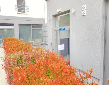 Unicka3 dziedziniec wejście